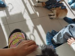 -平行世界·猫咖(首经贸店)