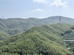 -宁波浙东大竹海景区