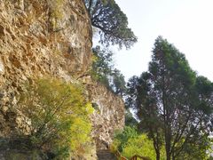 -北京上方山国家森林公园