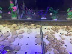 -千百叶海鲜自助餐厅(万达广场店)