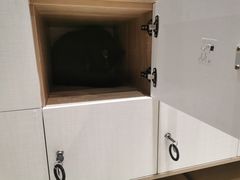 -藏猫猫咖啡主题馆(中央大道店)