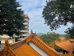 -深圳仙湖植物园