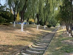 -永定河休闲森林公园