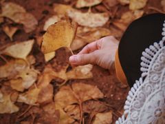 -华雅花园大酒店