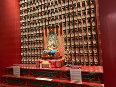 -新加坡佛牙寺龙华院