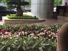 -粤海喜来登酒店·&More聚驿(天河城店)