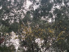 -白云山索道-售票处