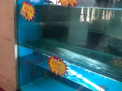 -亚丁湾海鲜大酒店(万泉嘉苑店)