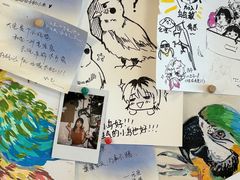 -吉丁鸟咖·异宠·寄养