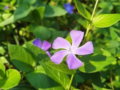 -白塘生态植物园