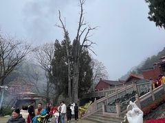 -灵光寺