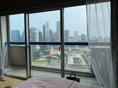 -新加坡瑞士史丹福酒店