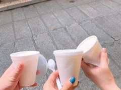 -洪馨椰子