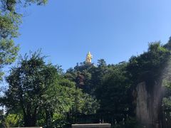-大金鹰园