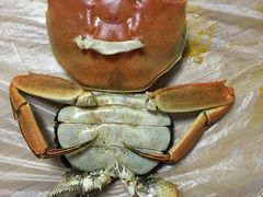 -乡乐园蟹庄·阳澄湖农家乐