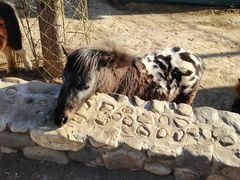 -静之湖湖畔餐厅