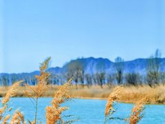 -野鸭湖国家湿地公园