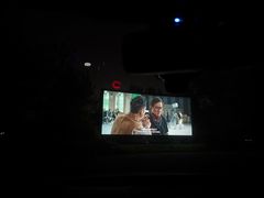 -枫花园汽车电影院(朝阳公园店)