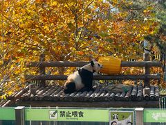 -大连森林动物园