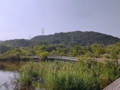-西湖风景区-江洋畈生态公园