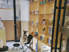 -瑞派康怡24h宠物医院·犬猫医疗中心·微创绝育(瑞景分院)