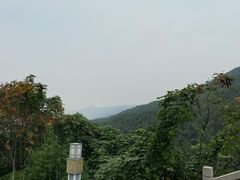 -铁山坪森林公园