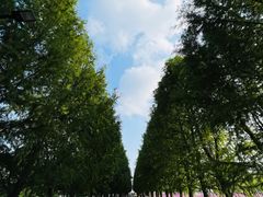 -嘉北郊野公园