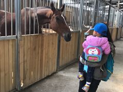 -月河湾马术俱乐部(朝阳店)