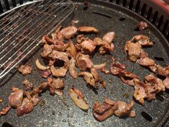 -杨记齐齐哈尔烤肉(总店)