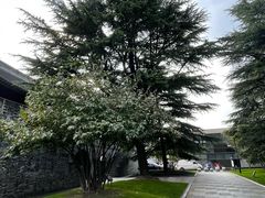 -南通濠河风景名胜区-钟楼谯楼