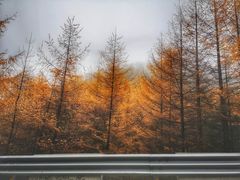 -秦岭风景区