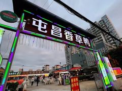 -盐禾堂海南屯昌香草鸭(总店)