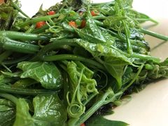 -马仕玖煲·融合菜·酥不腻烤鸭(人大店)