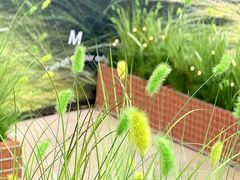 -龙湖重庆时代天街