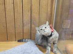 -龟与熊猫宠物公园(南坪店)