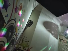 -金青果甄选KTV(劳动公园店)