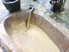 -100蛋泥浆浴