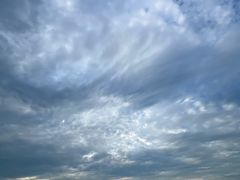 -椰风寨