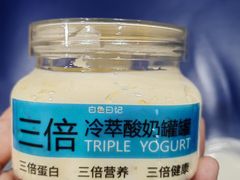 -白色日记·手作酸奶(麦凯乐店)