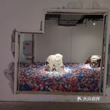 成都｜0元看展｜“巨出片”小众展踩雷