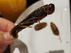 -蓝钻·国际美食海鲜自助百汇(西直门店)