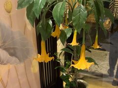 -二分八云雁阁•新晋菜大同味(长治路店)