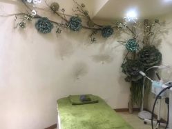 -骄阳兰多产后修复(徐东旗舰店)