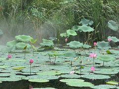 -梁鸿国家湿地公园