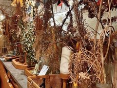 -野草莓自由市场