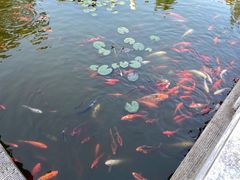 景点-梅园