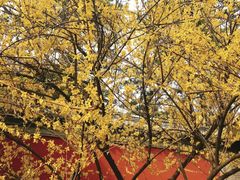 -承德避暑山庄景区