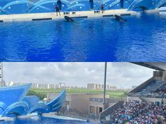 -上海海昌海洋公园