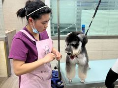 -暖阳宠物医院·犬猫康复中心·骨科