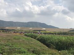 -光明小镇欢乐田园